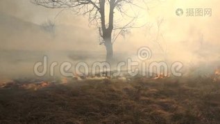 火和烟，枯草在燃烧mov格式视频下载_正版视频编号1021612-摄图网