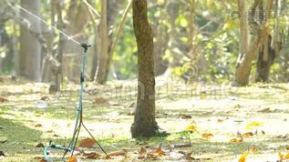 园内洒水喷洒.mov格式视频下载_正版视频编号1700583-摄图网