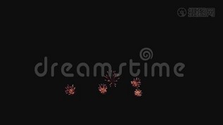 在假日的夜晚，五彩缤纷的烟花慢动作mov格式视频下载_正版视频编号2979573-摄图网