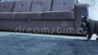 妈妈抱着她的孩子在客厅里mp4格式视频下载_正版视频编号1855250-摄图网
