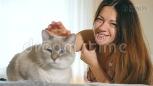 美丽的年轻女孩抚摸一只猫。 蓝眼睛的猫，有一个粉红色的鼻子。 一个女人和一只猫躺在床上。mov格式视频下载_正版视频编号1787254-摄图网