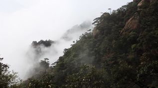 三清山云雾风景视频素材