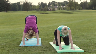 两个优雅美丽的妇女在草地的瑜伽垫上练习瑜伽体式视频素材