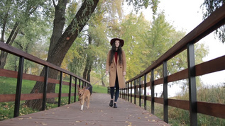 带着小狗在秋天公园的木制人行桥上散步视频素材