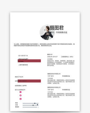 市场销售总监个人求职简历word模板图片