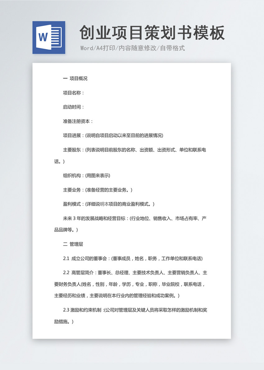 创业项目策划书模板word文档