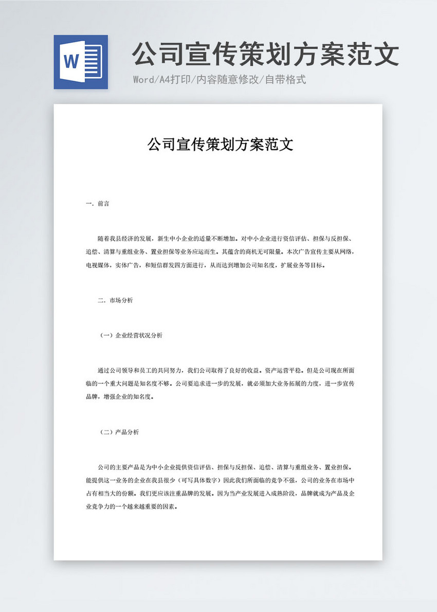 公司宣传策划方案范文word模板