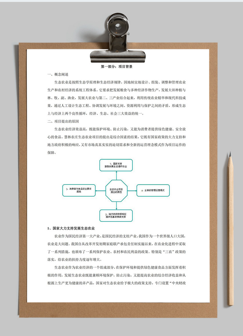 农业策划案word模板