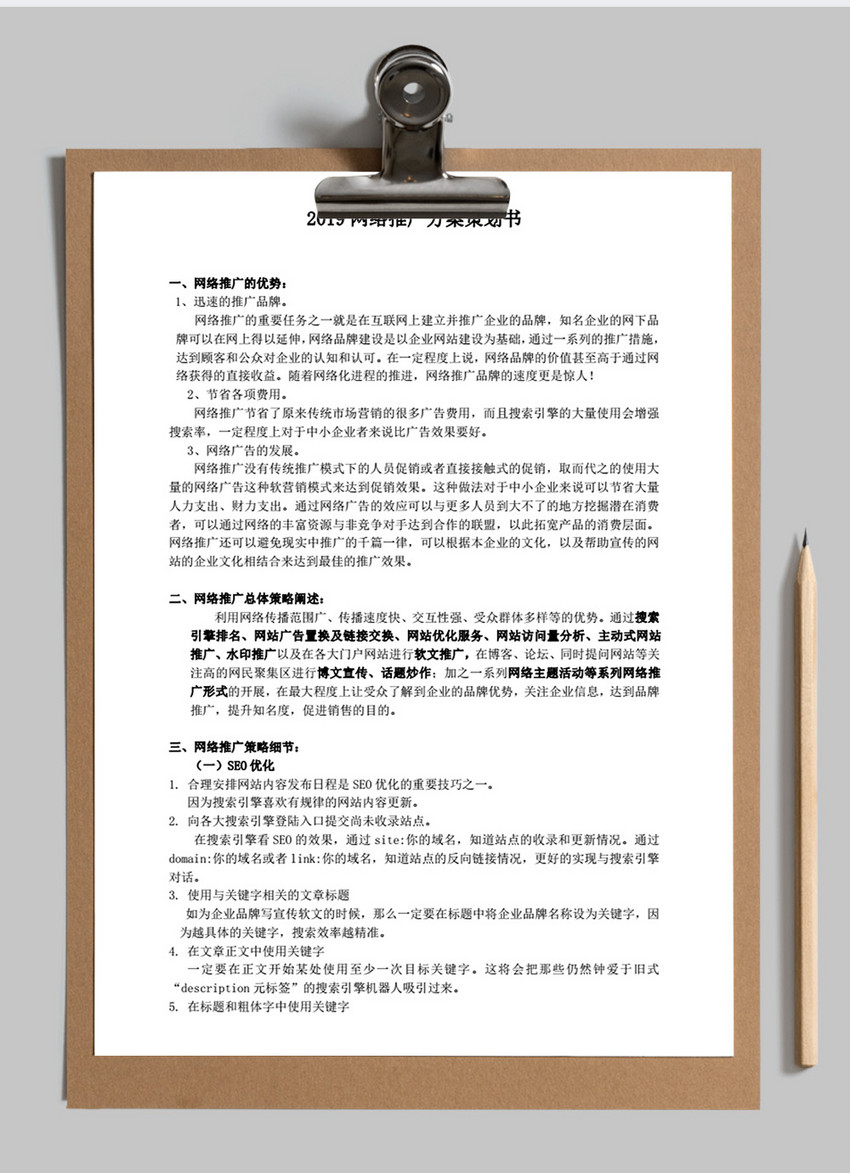 网络营销推广方案策划书word模板(2) 第2页