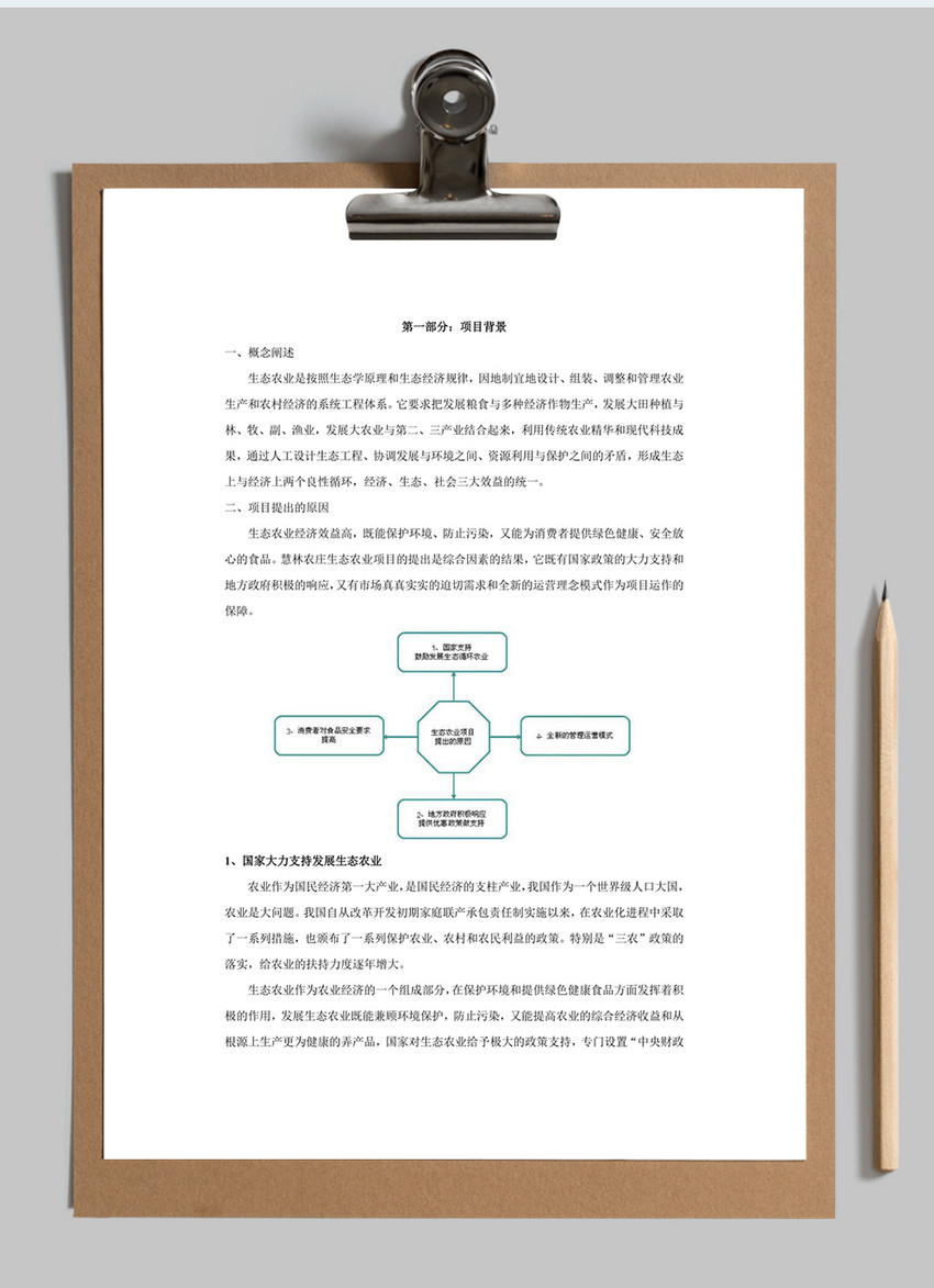 农业策划案word文档模板