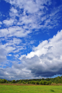 夏季景观N