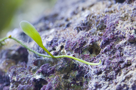 海洋水族馆鱼缸