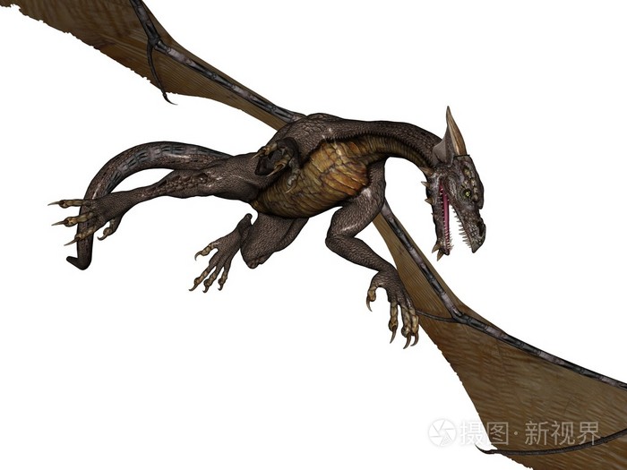 flying dragon,leaf insect flying dragon