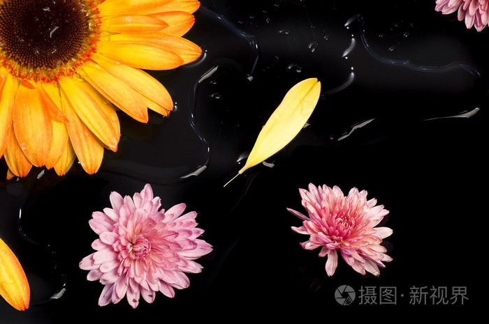 生命花件