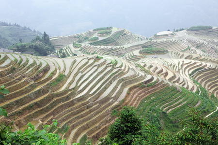 龙脊梯田