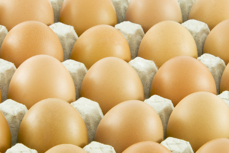 许多新鲜的农村鸡蛋