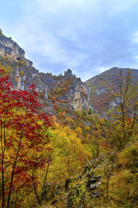 在山与多彩的秋天森林景观