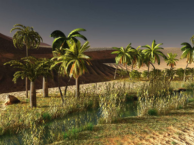 美丽的自然背景非洲绿洲 3d 渲染