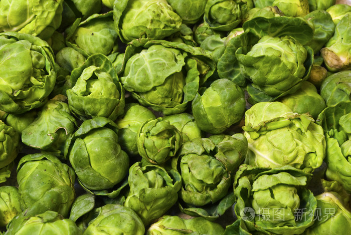 球芽甘蓝 brussels sprout的名词复数[农]抱子甘蓝