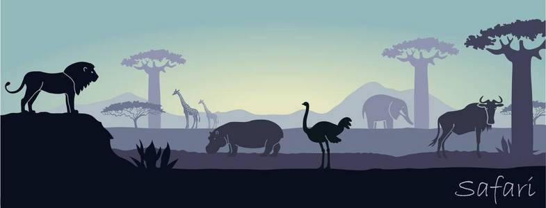 非洲景观与野生动物
