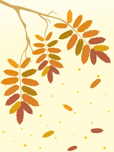 秋树枝插图