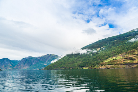 在挪威 sognefjord