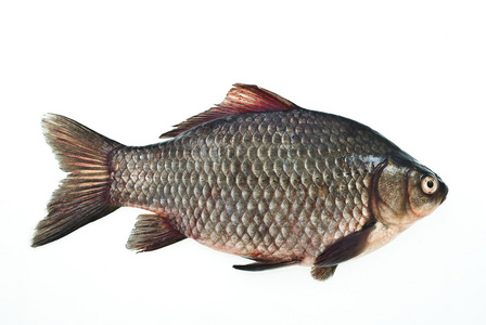 在一个盘子里的原料荞麦