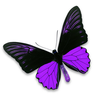 黑色和紫色的蝴蝶
