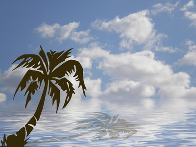 棕榈海和天空