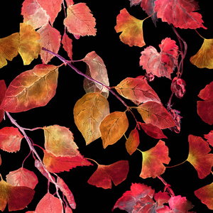 秋天的红叶，黑色背景。无缝对比秋天的格局。水彩