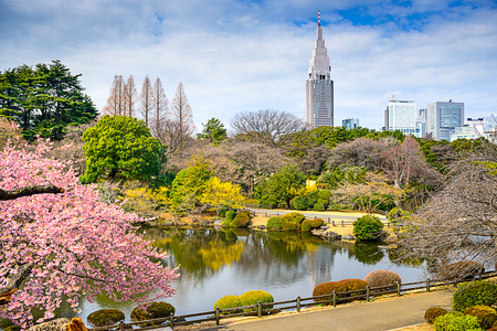 新宿御苑