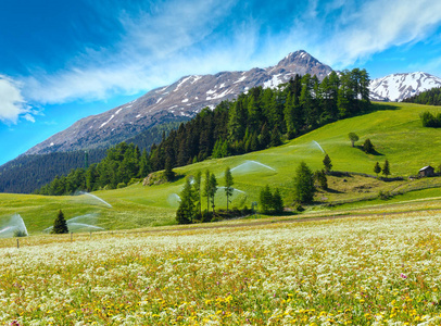 灌溉用水在夏天阿尔卑斯山中的口水战