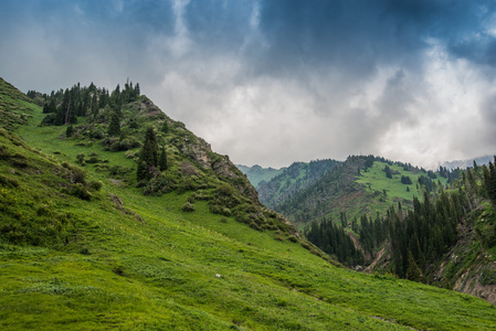 绿色草原与山