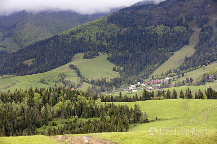 喀尔巴阡山的风景村庄在山谷中的针叶林