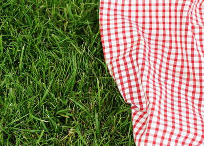 一次野餐格子在绿色草地上的背景