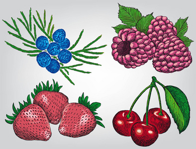 莓果集