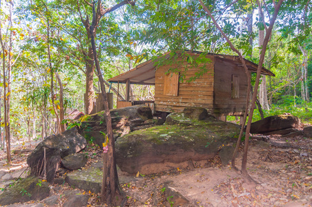 在自然背景木小屋