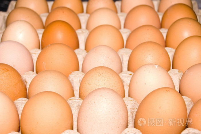 卵( egg的名词复数 ) 蛋 卵子 卵细胞