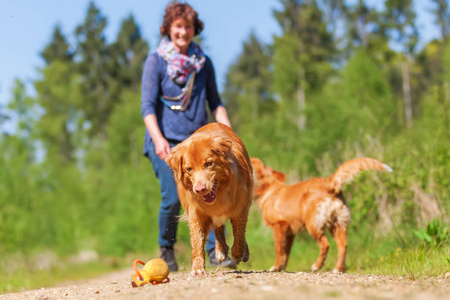 女人玩收费猎犬新斯科舍省鸭