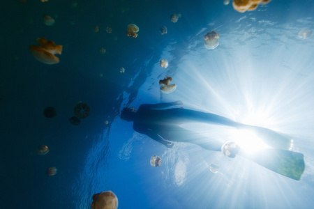 旅游在水母湖浮潜