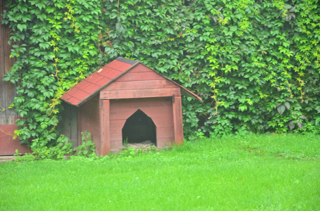 犬小屋