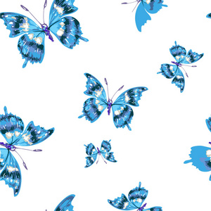 蓝色的蝴蝶在白色的背景上飞翔