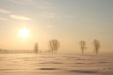 冬天的日出在田野上