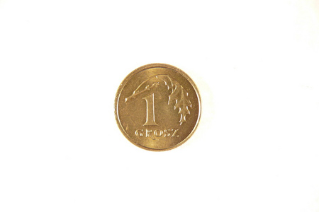 波兰一枚格罗斯硬币
