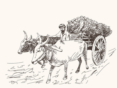 亚洲农夫骑在牛车上照片