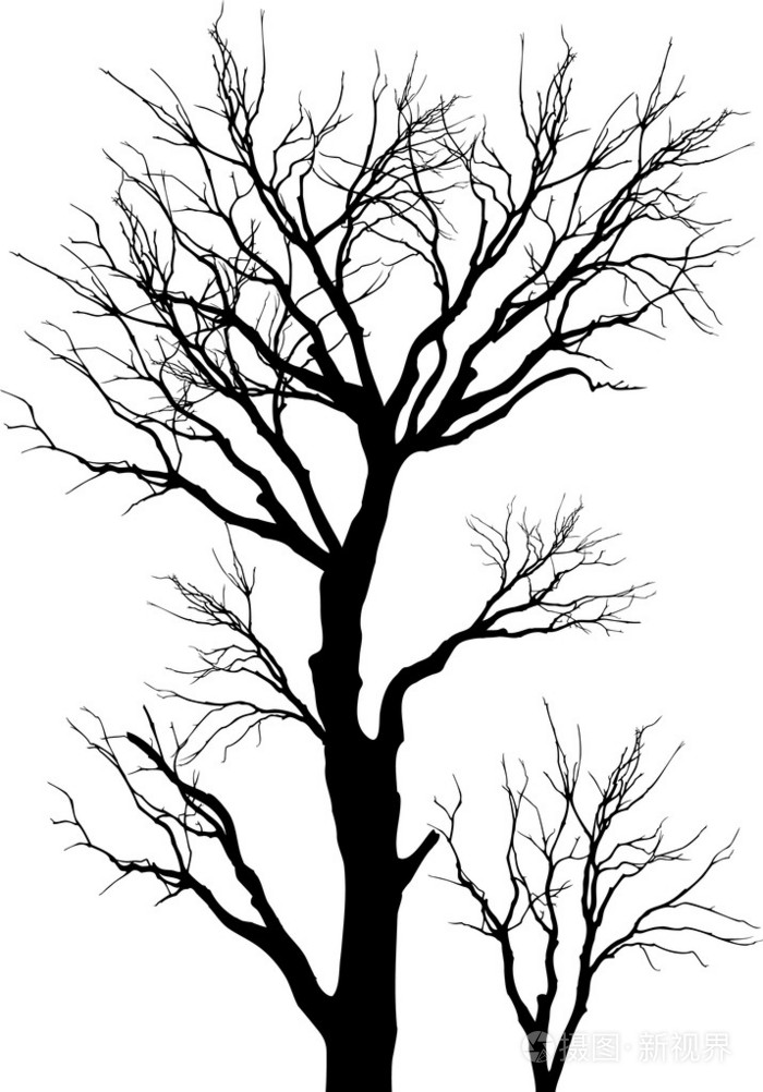树( tree的名词复数 ) 乔木 树状图 世系图