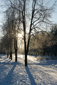 冬天的雪公园