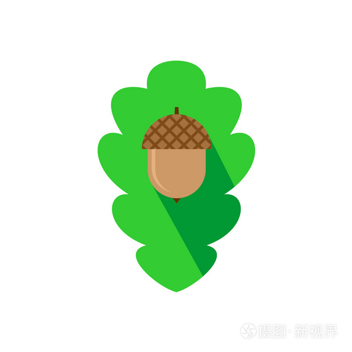 橡子登录橡树叶