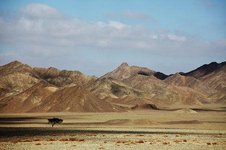 埃及风景