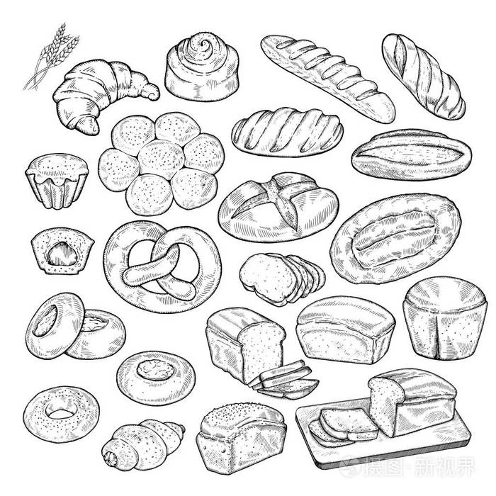大套的食物素描图手画的面包和糕点背景写意的雕刻风格艺术元素